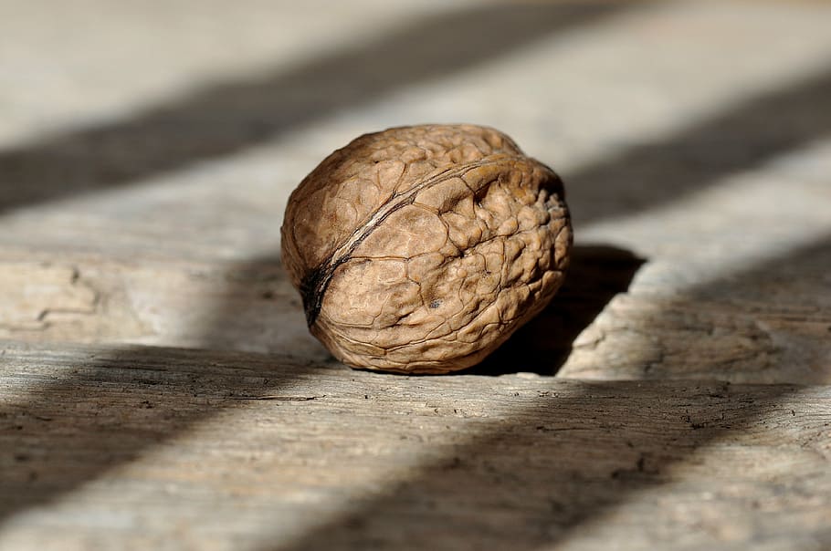 pecan nut, walnut, fruit bowl, healthy, delicious, natural product HD wallpaper