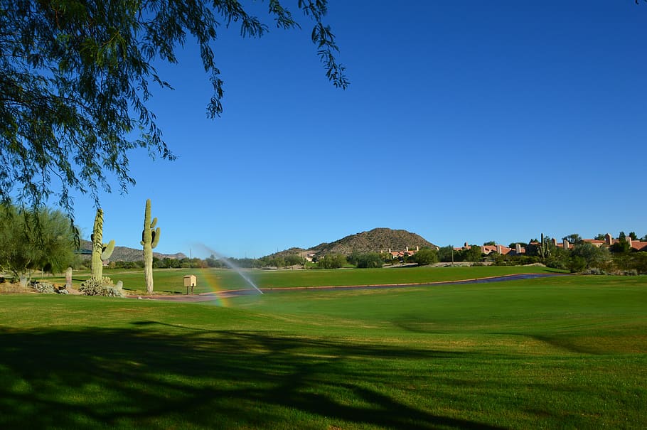 golf course, desert, arizona, view, mountain, fairway, sport, HD wallpaper