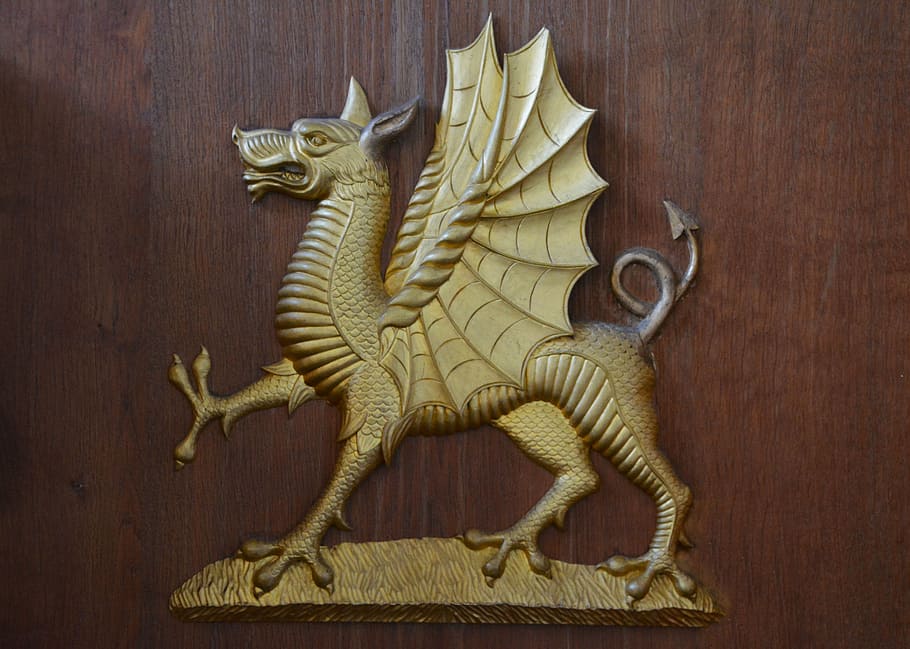 gold dragon wall decor, emblem, symbol, head, logo, mascot HD wallpaper