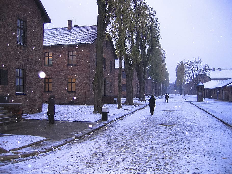 auschwitz, snow, winter, cold, ice, nature, landscape, panorama HD wallpaper