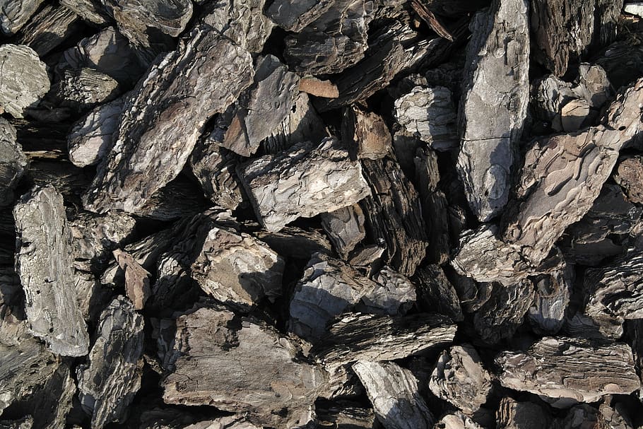 texture, firewood, bark, backgrounds, full frame, textured HD wallpaper