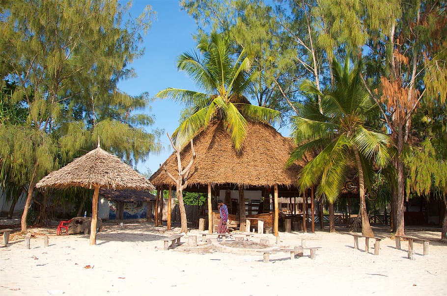 Zanzibar, Africa, Tanzania, beach, vacations, sand, tropical climate, HD wallpaper