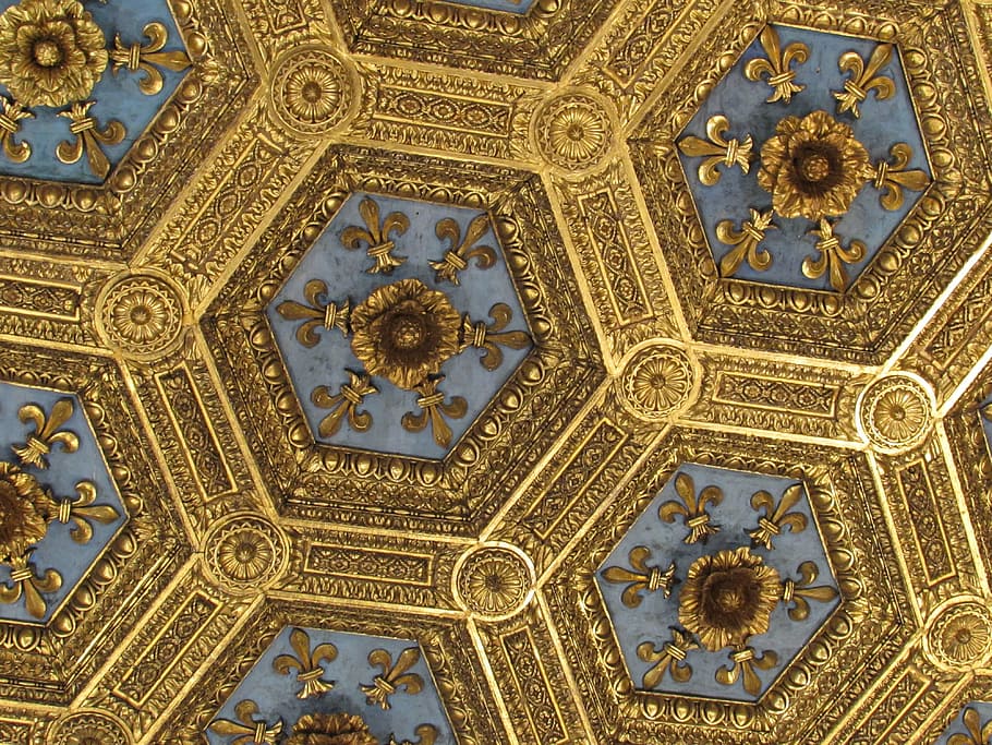 brown and blue fleur-de-lis pattern, gold, ceiling, museum, architecture