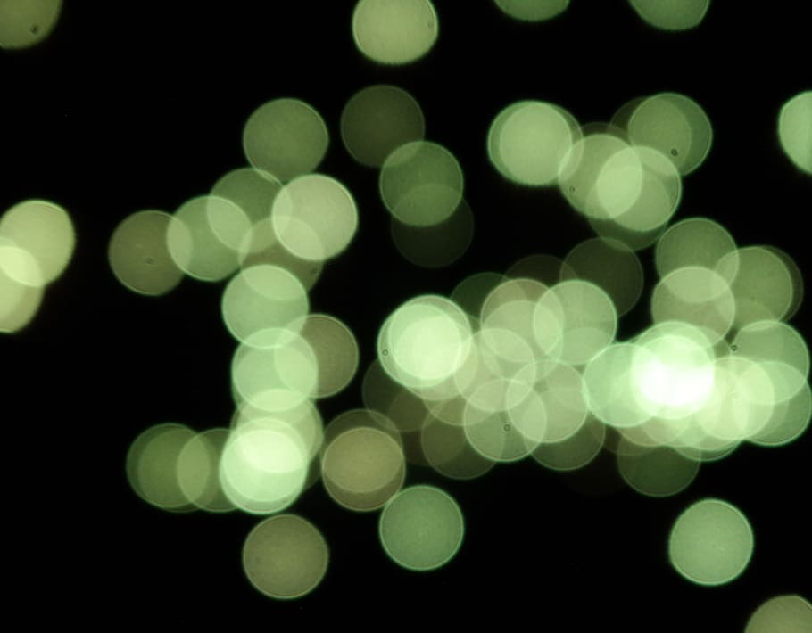 macro photography of bokeh light, fireworks, night, black, green HD wallpaper