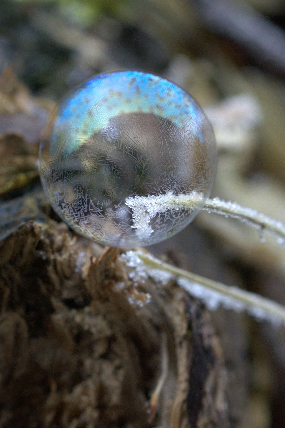 soap bubble, pattern, structure, frozen, cold, close-up, no people HD wallpaper