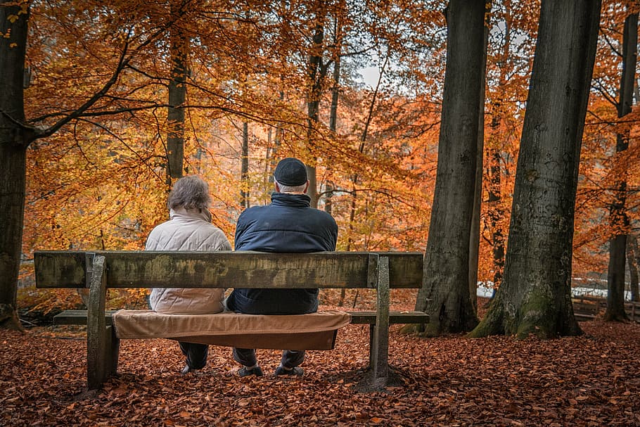 man and woman wearing jacket sitting on bench under brown leaf trees during daytime, HD wallpaper