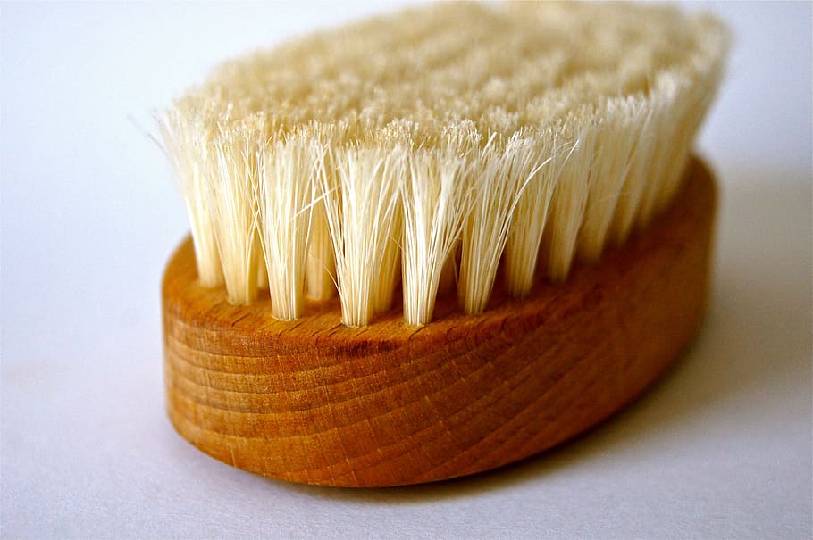 selective focus photograph brush, bad, clean, spring, wood HD wallpaper