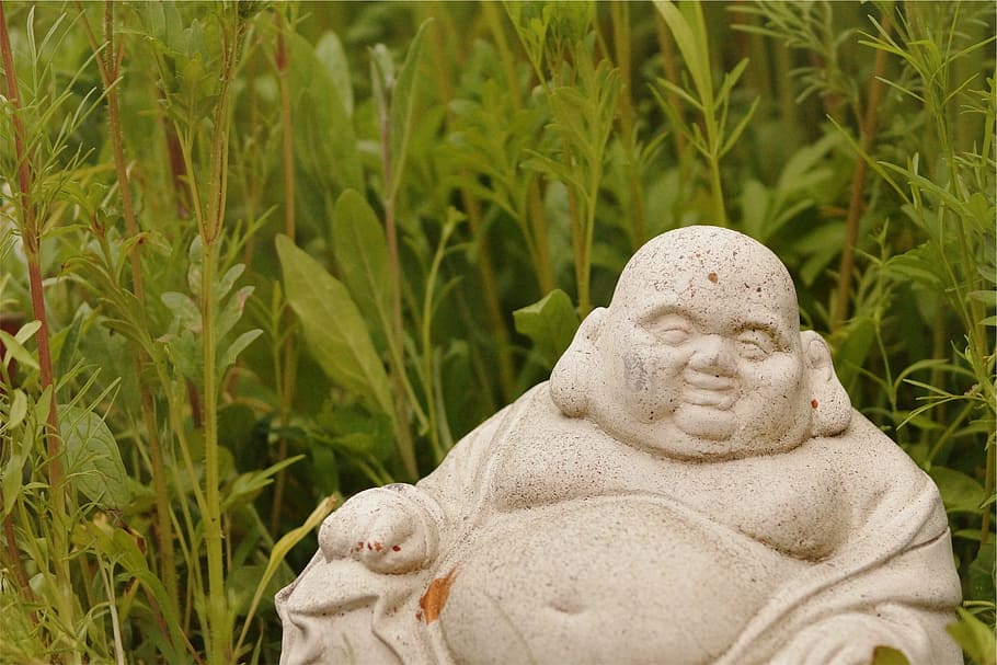 fat, buddha, sculpture, statue, field, plants, culture, religion
