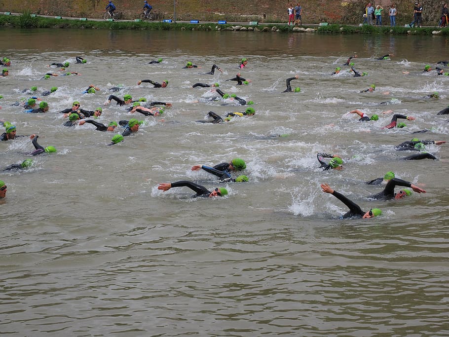 competition, crawl, involved, swim, track and field athletes HD wallpaper