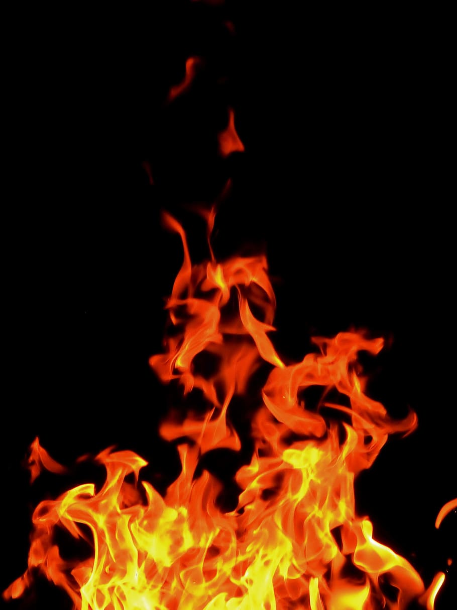 orange and yellow flame digital wallpaper, fire, burn, wood fire HD wallpaper