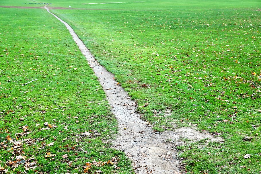 away, path, meadow, grass, plant, green color, sport, day, nature HD wallpaper