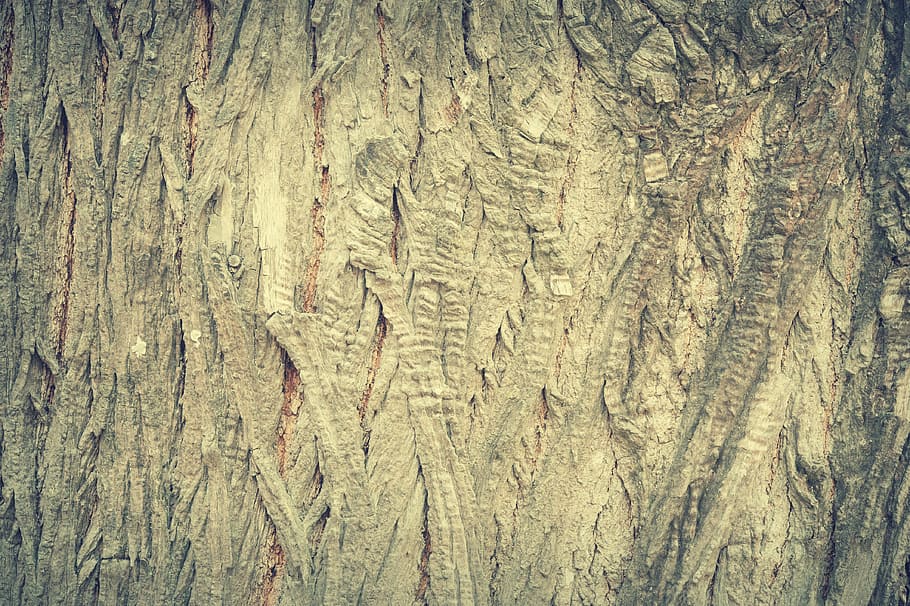 abstract, antique, backdrop, background, bark, board, brown HD wallpaper