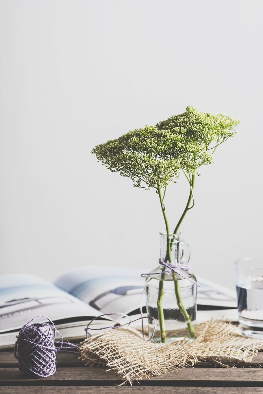 grey yarn ball on table next to tree in glass bottle, green HD wallpaper