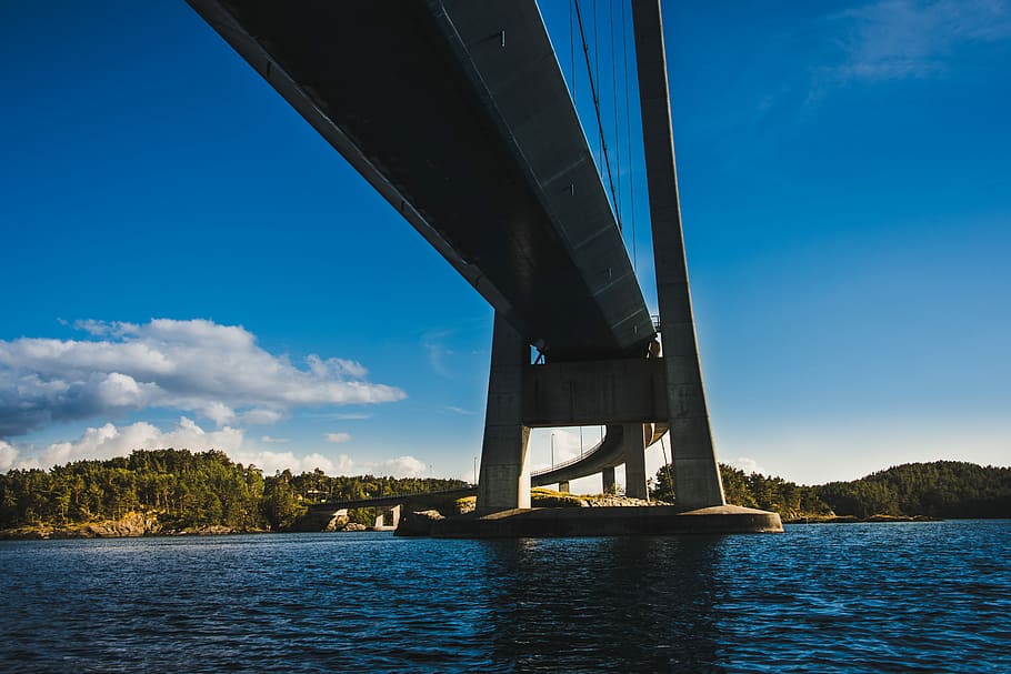gray concrete bird on body of water, gray concrete bridge on body of water under clear blue sky HD wallpaper