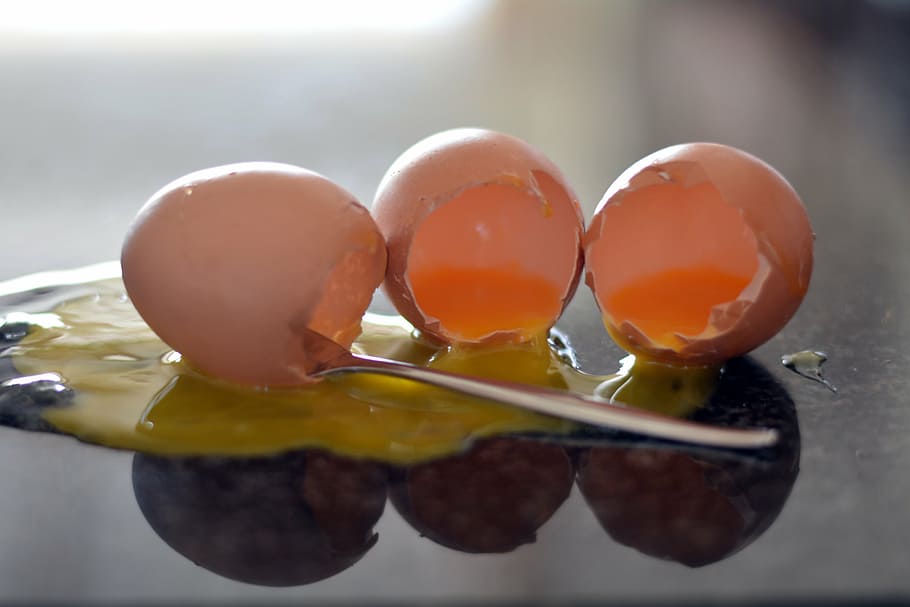 empty containers, eggs, yellow yolk, food, food and drink, close-up HD wallpaper
