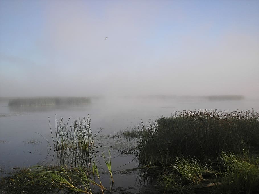 river, fog, beach, sky, morning, nature, landscape, early morning, HD wallpaper