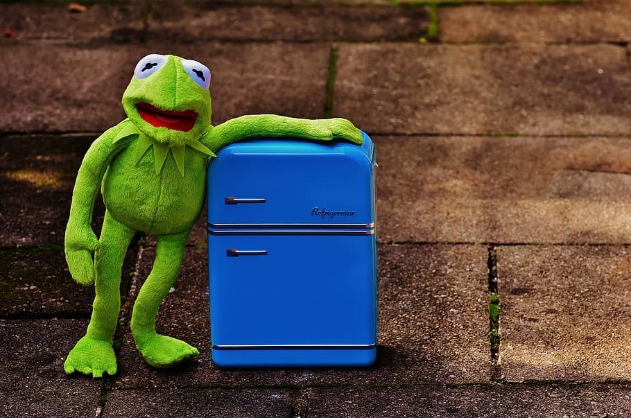 kermit, frog, refrigerator, funny, retro, green, toys, soft toy HD wallpaper