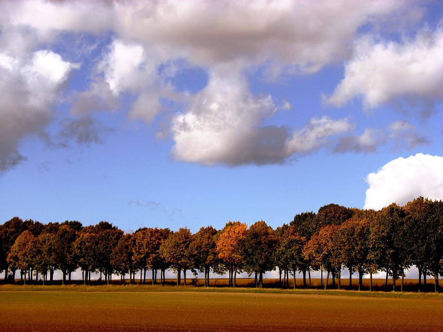 Trees, Series, Autumn, Sky, Clouds, golden autumn, mood, leaves HD wallpaper