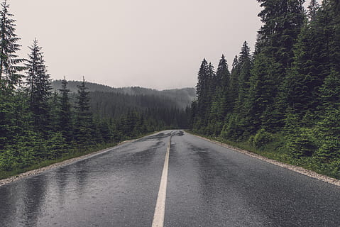 gray asphalt road under the cloudy sky, wet, trees, highway HD wallpaper