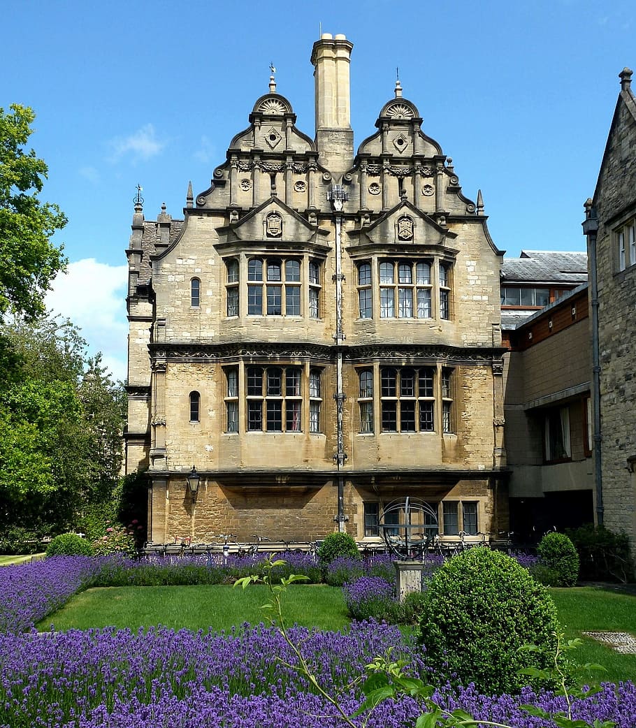 architecture, house, building, old, oxford, plant, flower, flowering plant HD wallpaper