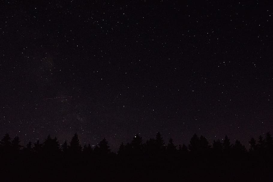 silhouette of pine trees under starry sky, stars, forest, solitude HD wallpaper