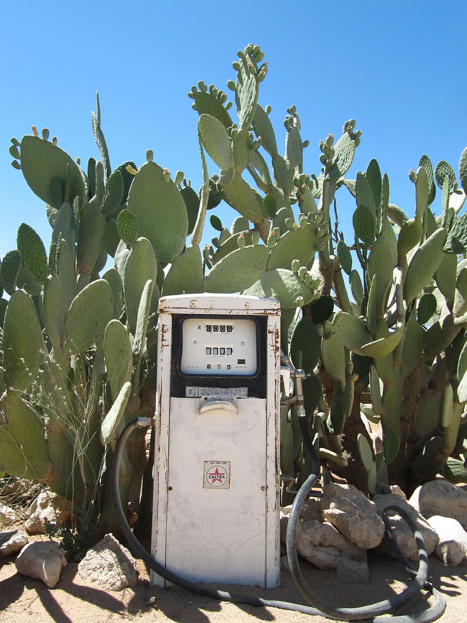 Desert station. Заправка в пустыне. Станция в пустыне. Солитер Намибия. Заправка в пустыне удка.