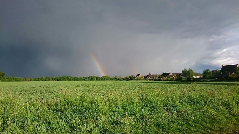 Landscape, Rainbow, View, Nature, threatening sky, air, green HD wallpaper