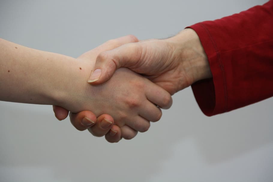 two people doing shake hands in focus photo, give, human hand HD wallpaper