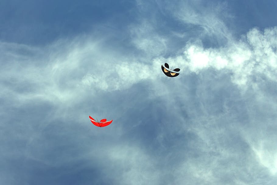 kites, sky, wind, flying, cloud - sky, animal, animal themes HD wallpaper