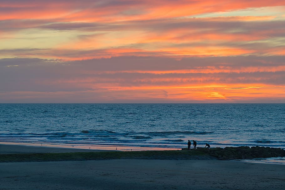 Bredene, Beach, Evening, sunset, sea, horizon over water, beauty in nature HD wallpaper