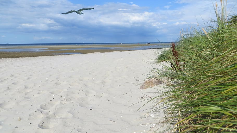 coast, sand, holiday, beautiful, baltic sea, clouds, nature HD wallpaper
