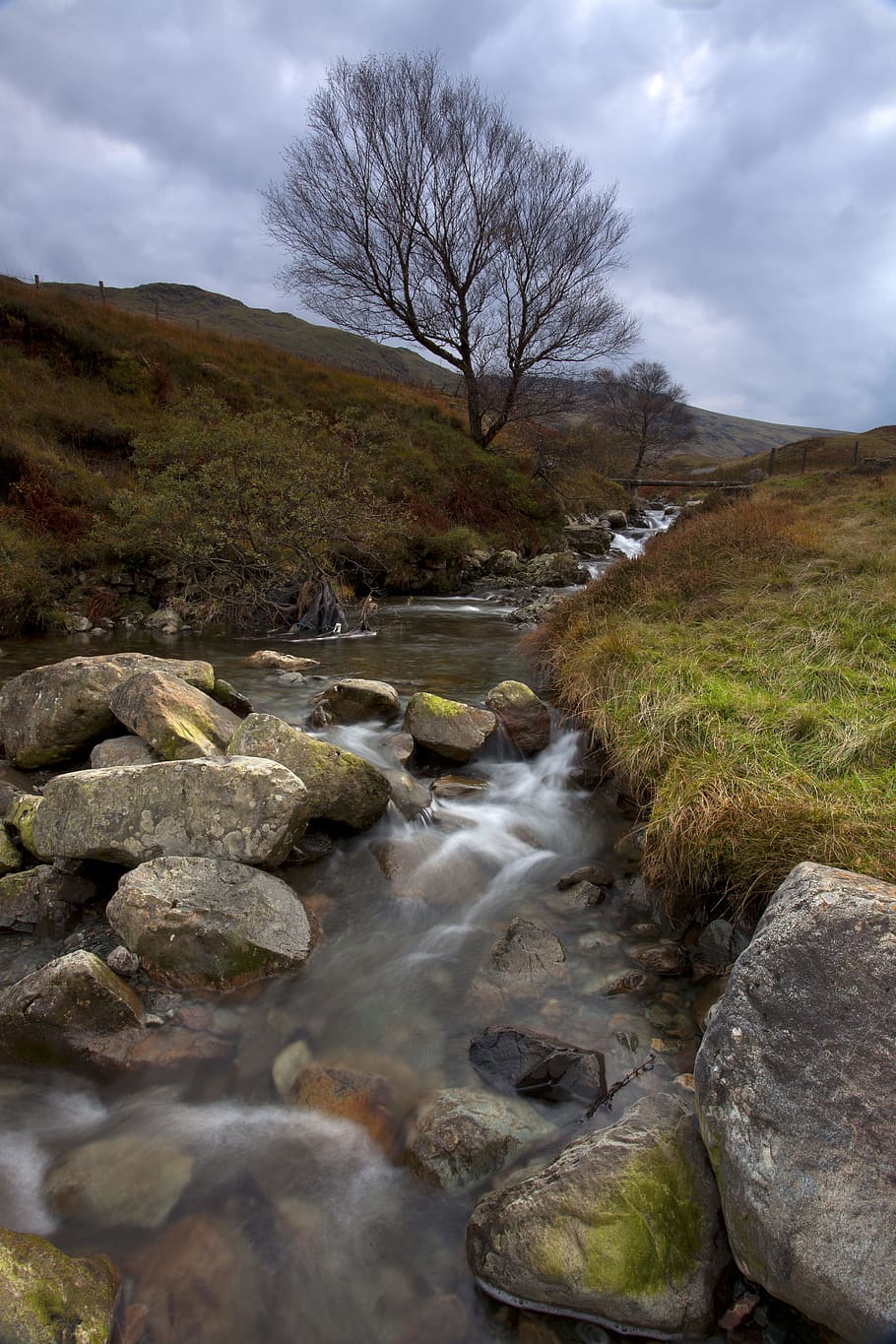 Waters Flowing Calmly in the River, cloudy, environment, gloomy HD wallpaper