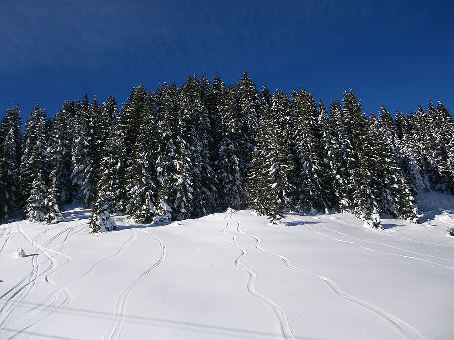 snow, ski, trace, mountain, winter, landscape, alps, france HD wallpaper