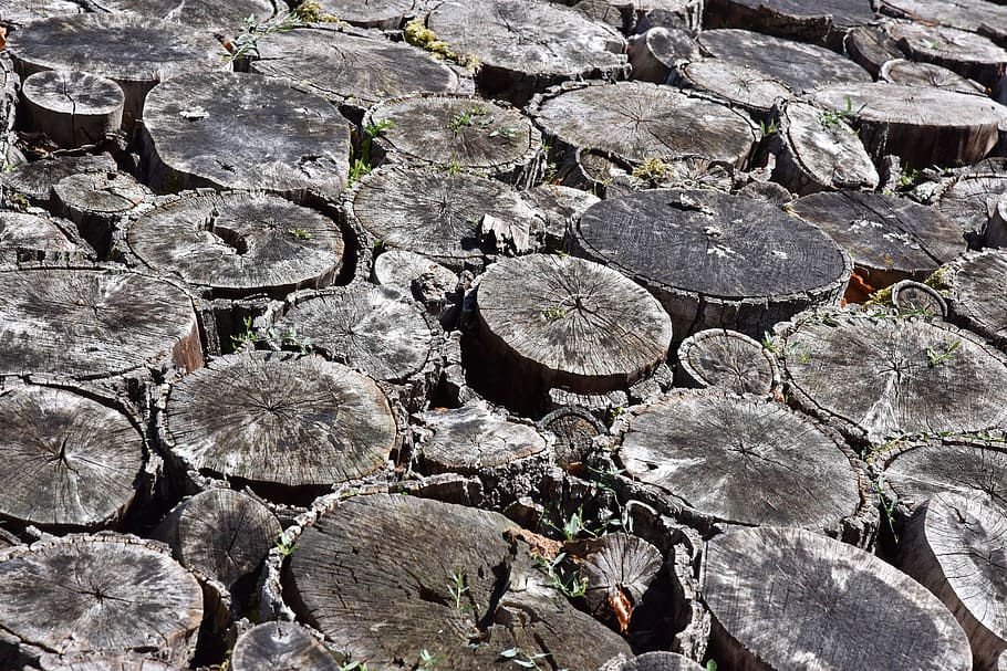 stone, nature, rock, desktop background, rough, pattern, surface HD wallpaper