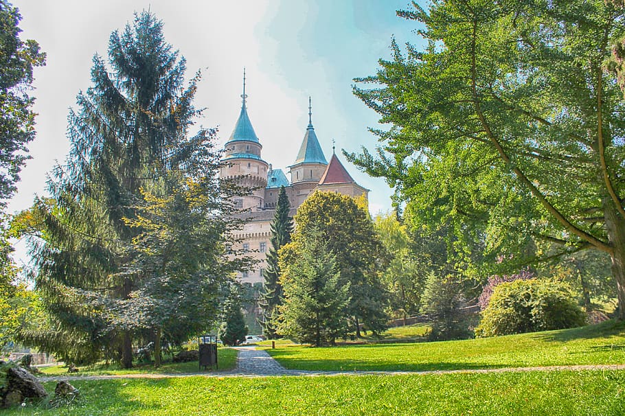 bojnice castle, slovakia, lock, tree, plant, built structure HD wallpaper