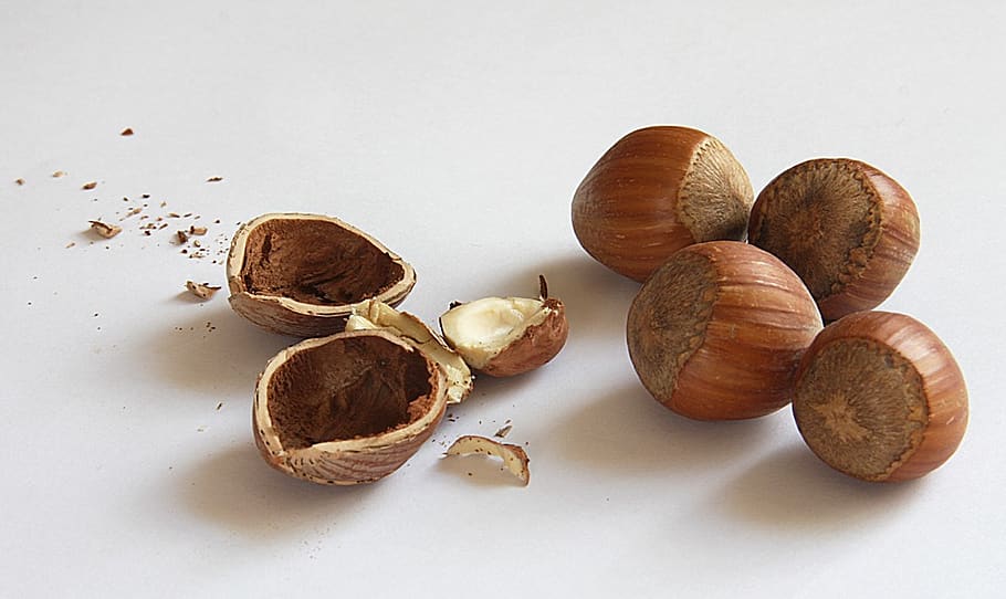 nuts, hazelnuts, shell, nuclear, food, eat, nutshells, food and drink HD wallpaper