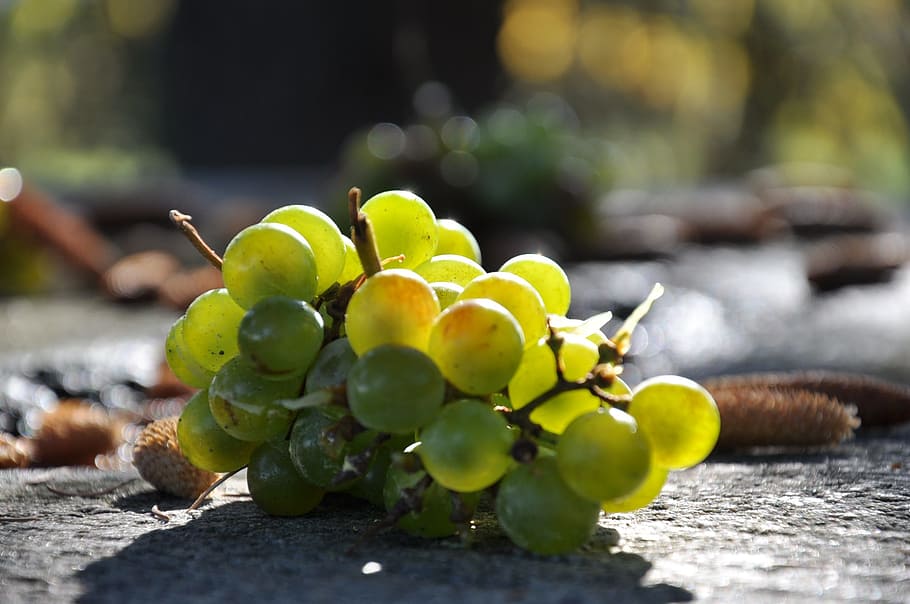 grape, autumn, table, fruit, food and drink, healthy eating HD wallpaper