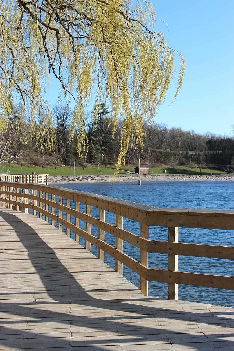 Lake, Water, Tree, Branches, Shadow, board walk, park, canada HD wallpaper