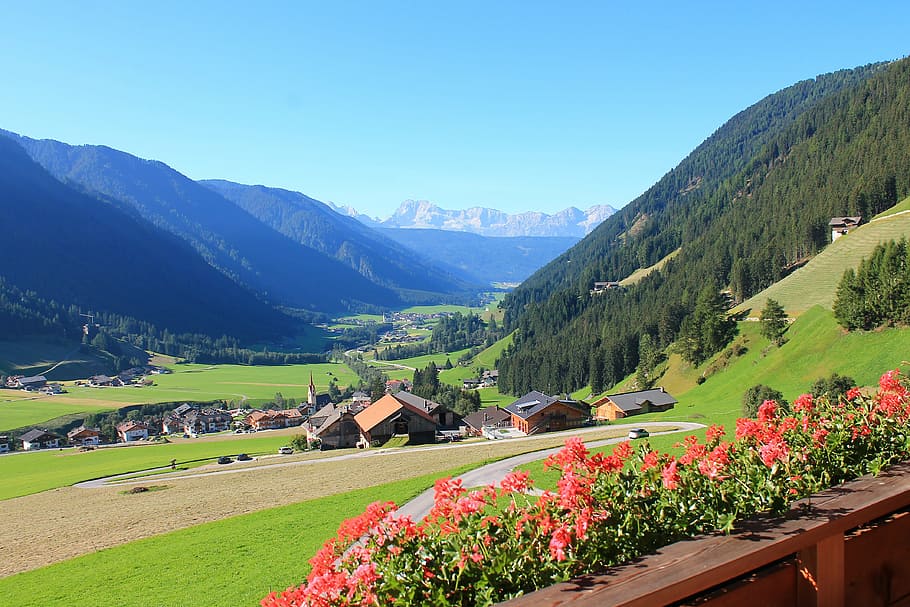 dolomites, mountains, valley, beauty in nature, plant, scenics - nature HD wallpaper