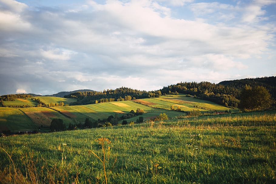 green grass field during daytime, nature, bieszczady, clouds HD wallpaper