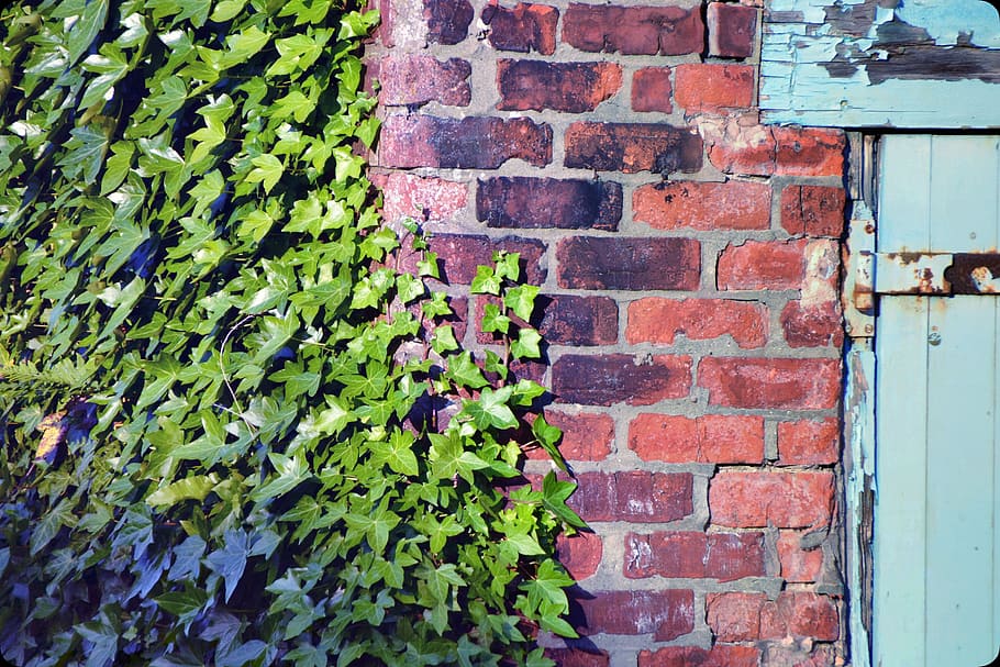 wall, brick, brick wall, texture, aged, pattern, brickwall HD wallpaper