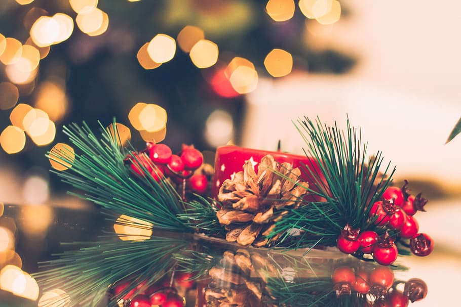 Brown and Red Pinecone Christmas Decoration, blur, blurred background HD wallpaper