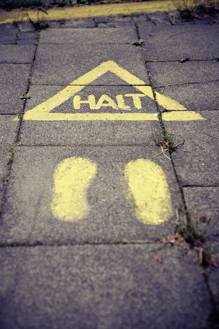 HALT logo, containing, stop, road sign, traffic, warning, attention, HD wallpaper