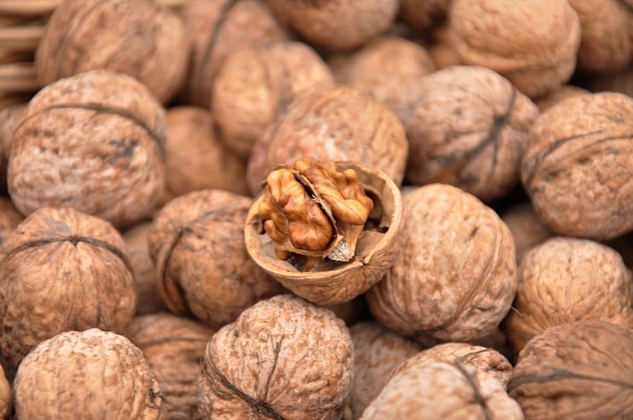 walnut, autumn, fruit, stone, brown, food and drink, wellbeing HD wallpaper