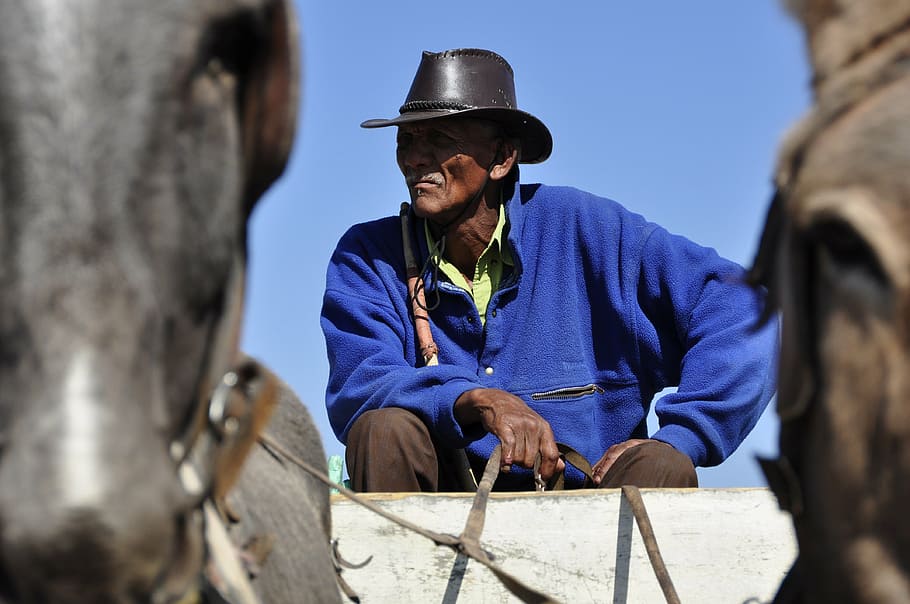 bauer, human, botswana, portrait, africa, hat, adult, one person HD wallpaper