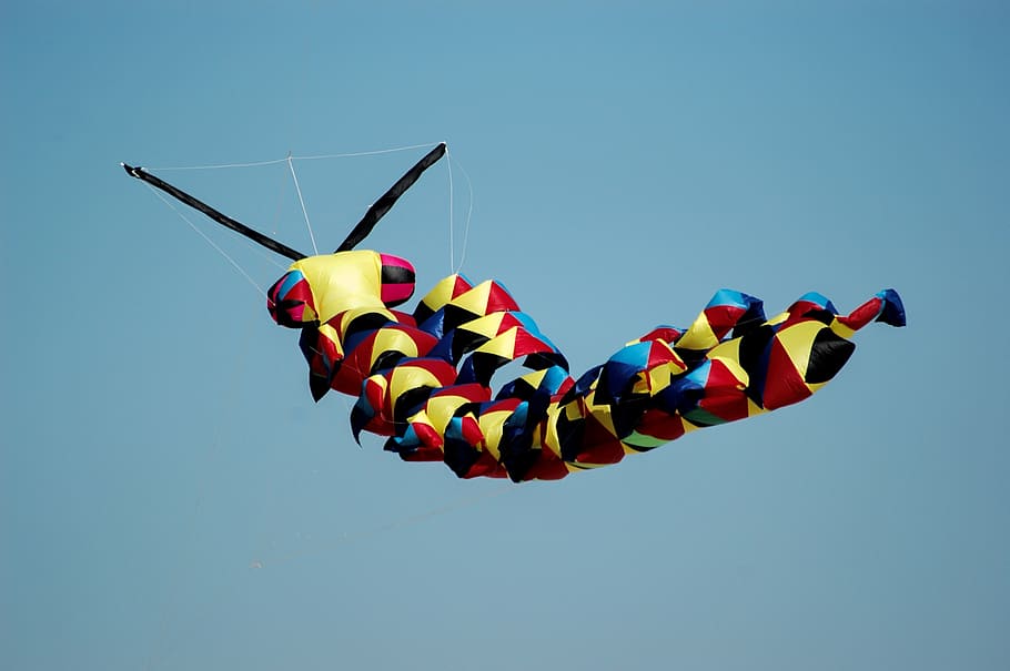 multicolored kite, beach, berck-plage, wind, sky, multi colored HD wallpaper
