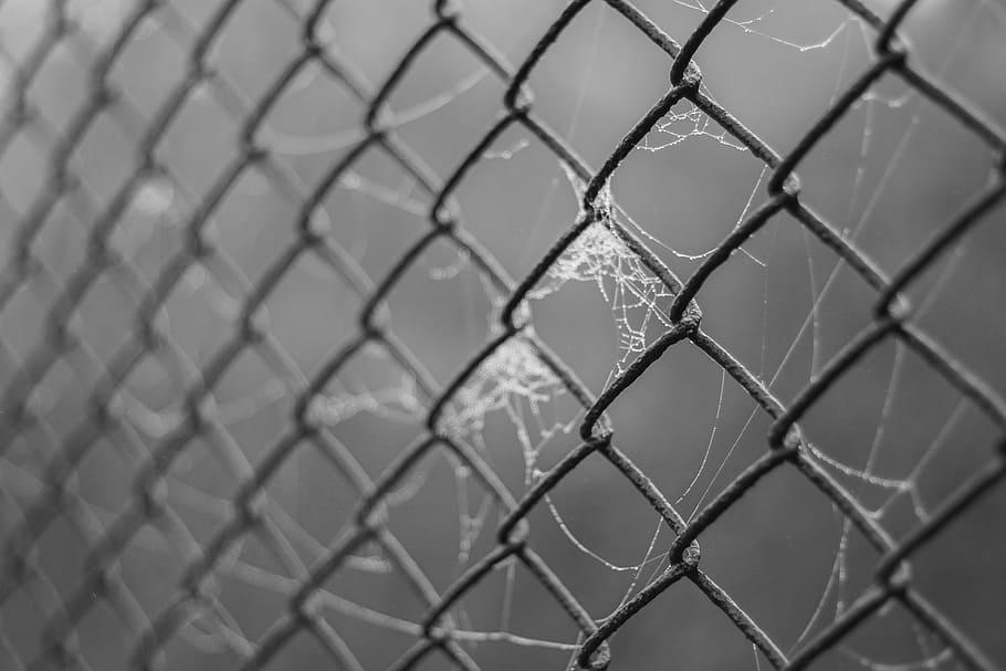 the grid, fencing, wire, cobweb, spider's web, haze, moisture HD wallpaper