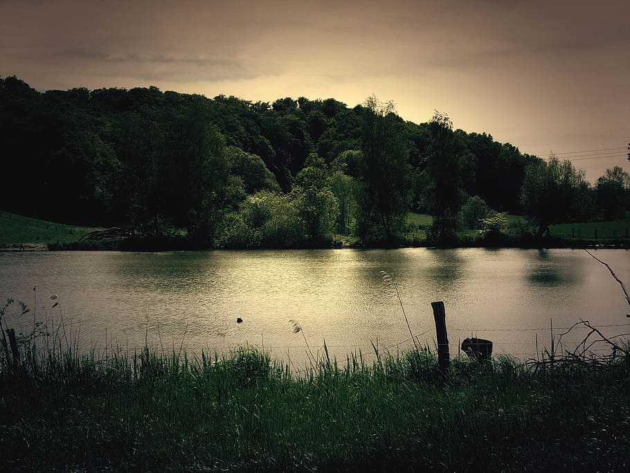 nature, landscape, lake, sunset, forest, evening light, atmospheric HD wallpaper