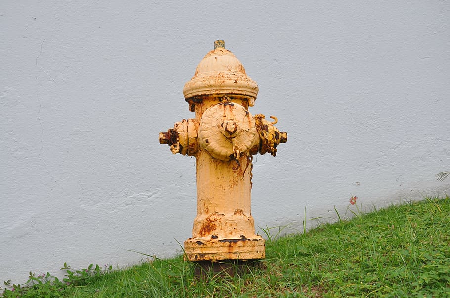 water, fire, wall, yellow, old, architecture, day, grass, built structure HD wallpaper