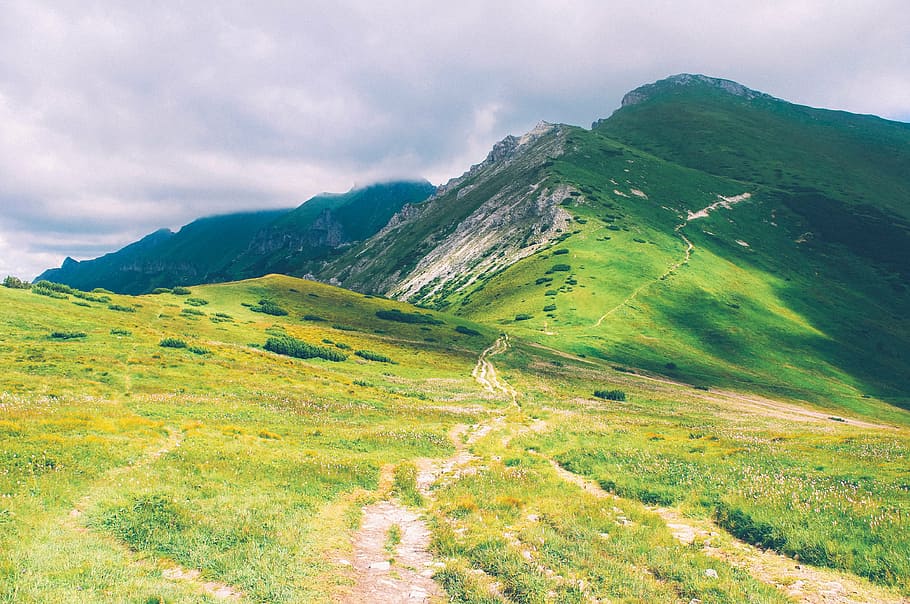 green mountain under blue sky at daytime, hiking trail, hike path HD wallpaper